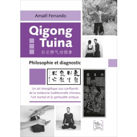Qigong Tuina Tome 3 - Philosophie et diagnostic